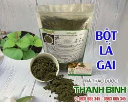 BỘT LÁ GAI [ TÁC DỤNG, CÁCH DÙNG ] MUA Ở ĐÂU UY TÍN CHẤT LƯỢNG?